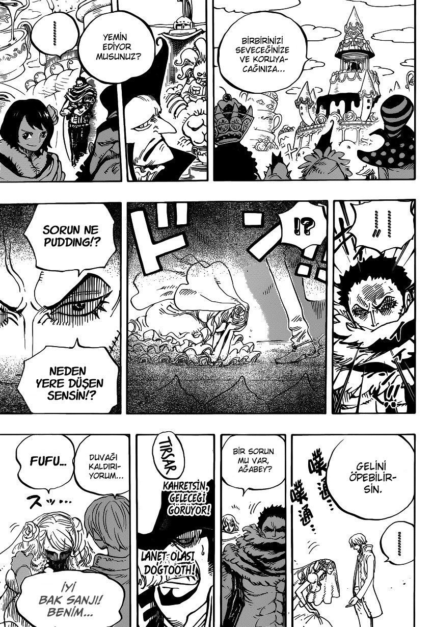 One Piece Bölüm 862 - Sayfa 8