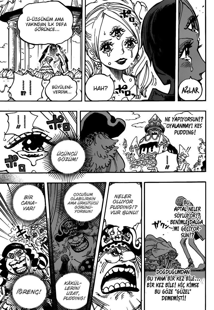 One Piece Bölüm 862 - Sayfa 10
