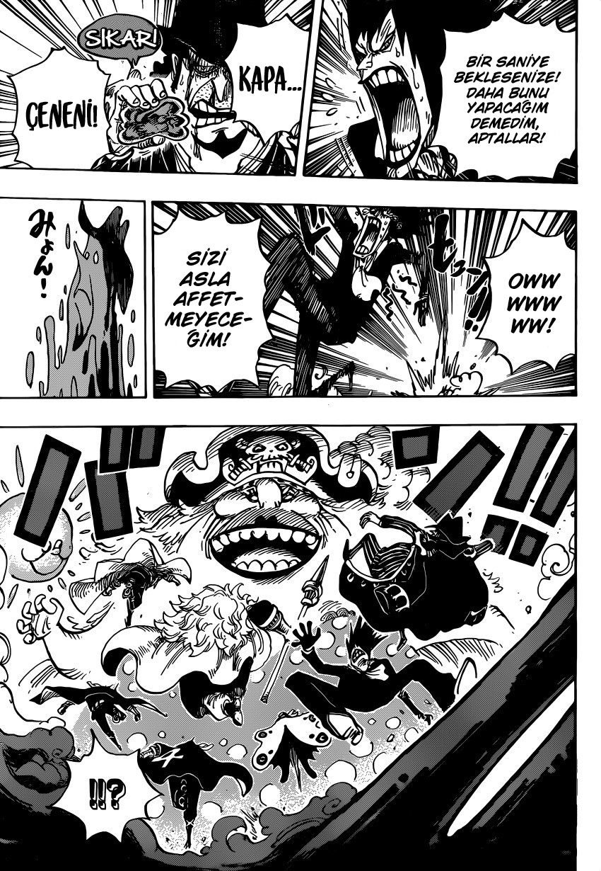 One Piece Bölüm 870 - Sayfa 13
