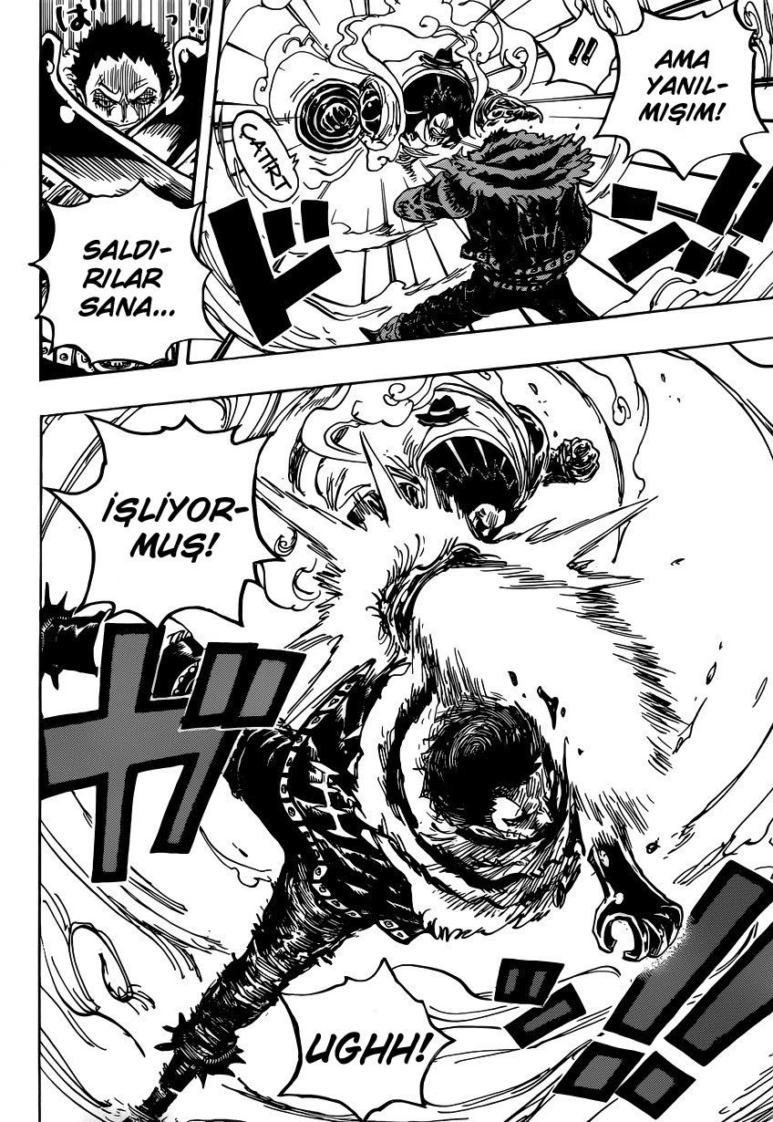 One Piece Bölüm 884 - Sayfa 4