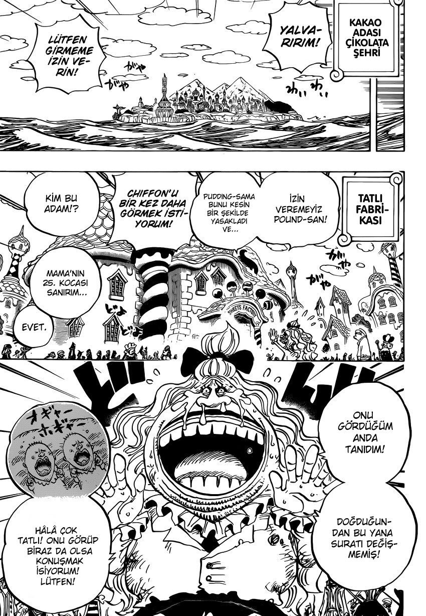 One Piece Bölüm 884 - Sayfa 11