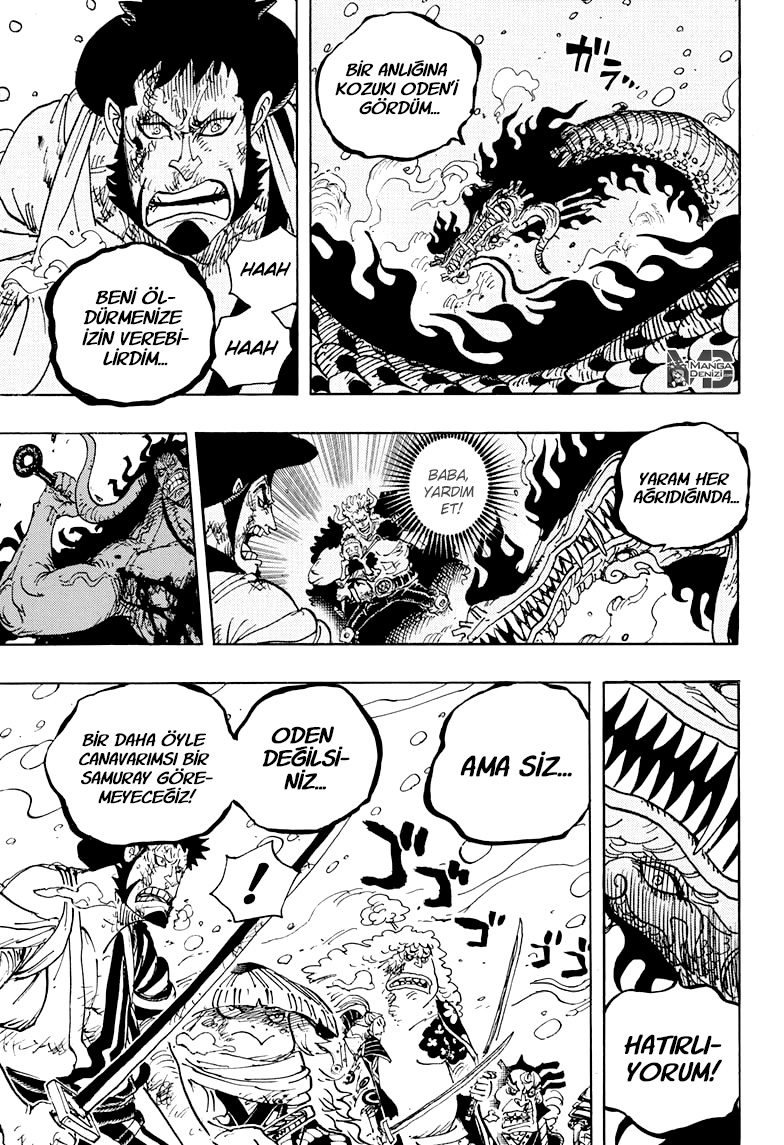 One Piece Bölüm 993 - Sayfa 14