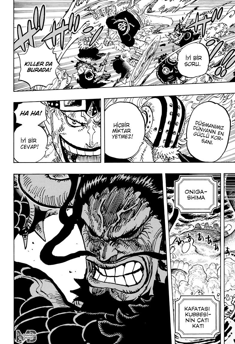 One Piece Bölüm 996 - Sayfa 14