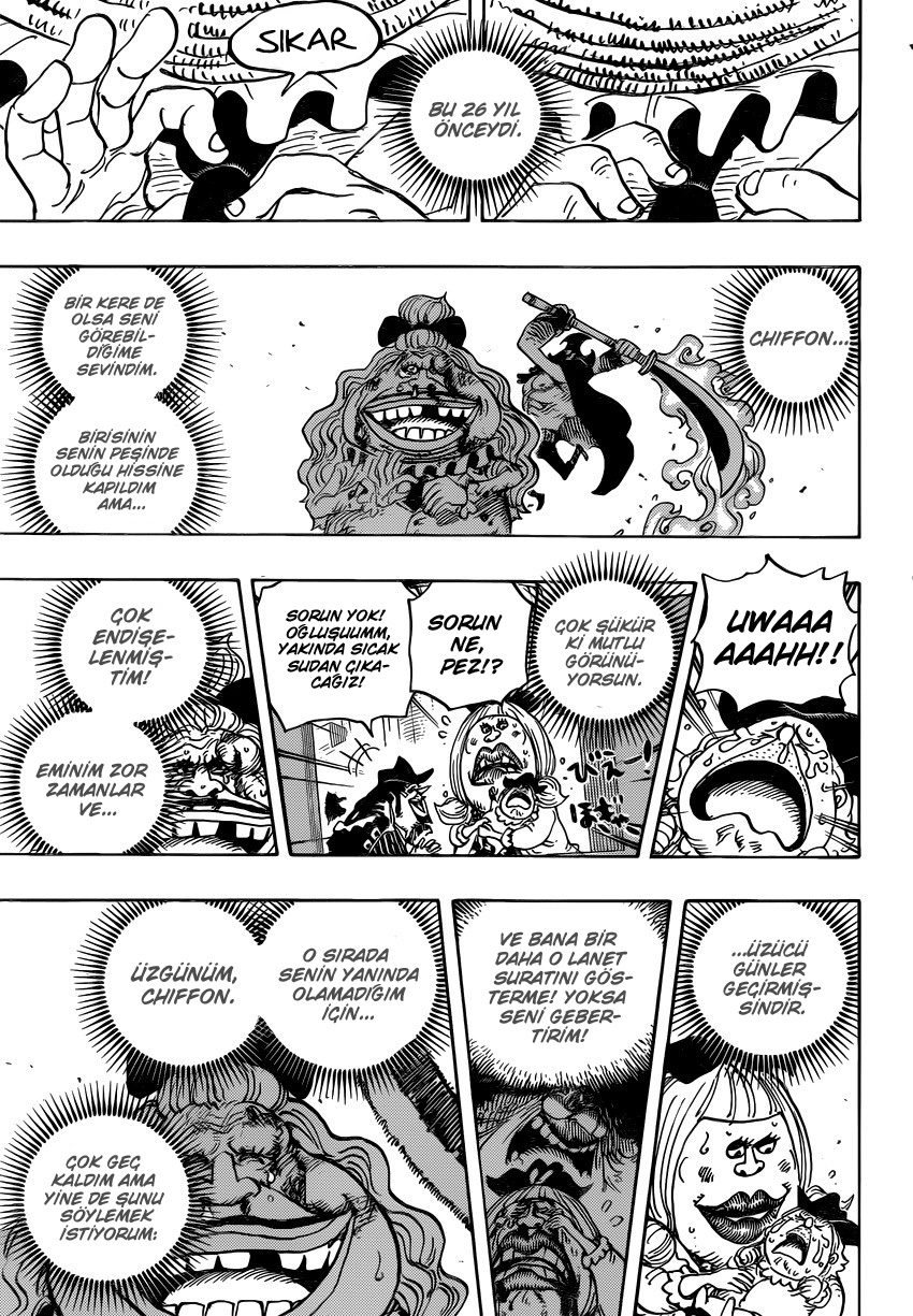 One Piece Bölüm 887 - Sayfa 13