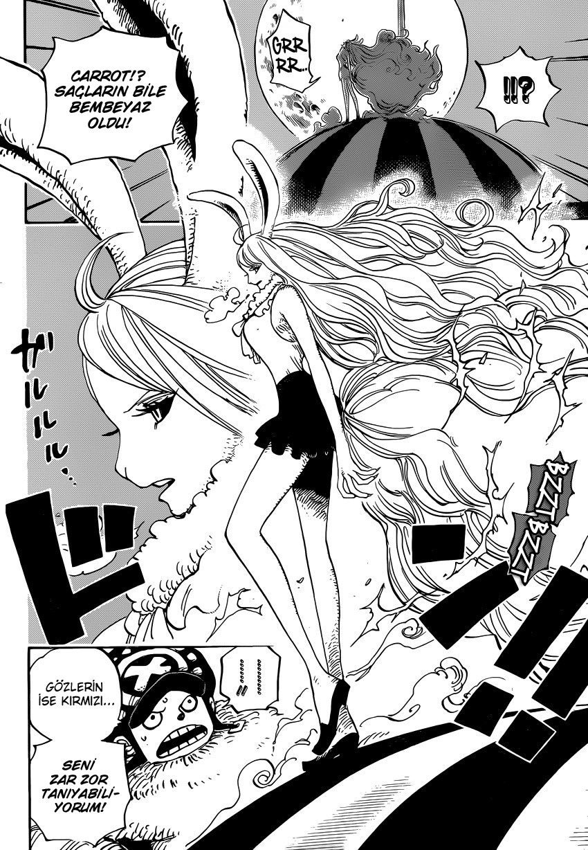 One Piece Bölüm 888 - Sayfa 10