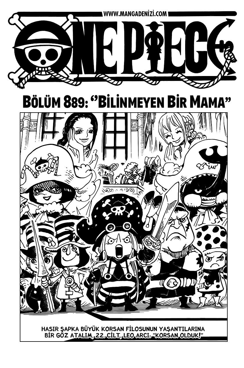 One Piece Bölüm 889 - Sayfa 1