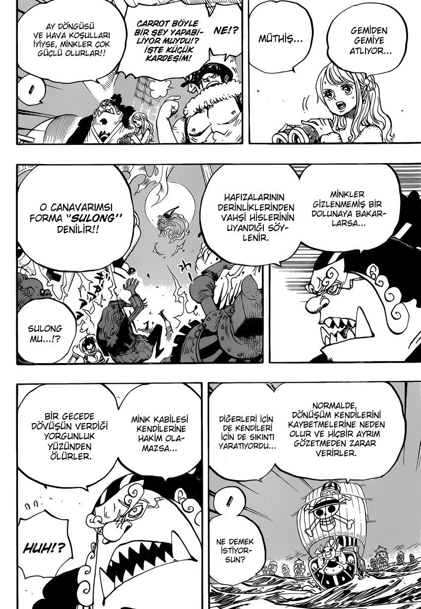 One Piece Bölüm 889 - Sayfa 3
