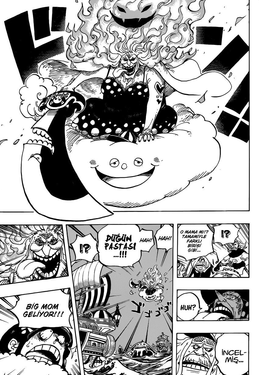 One Piece Bölüm 889 - Sayfa 14