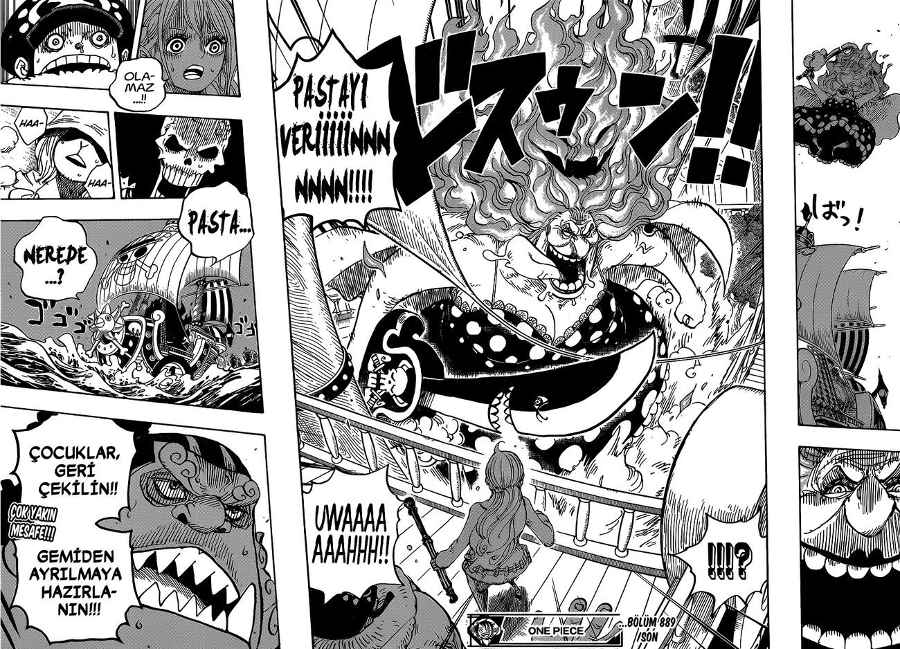 One Piece Bölüm 889 - Sayfa 15