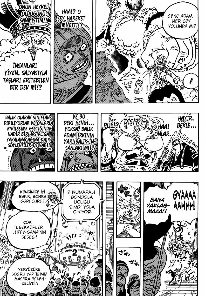 One Piece Bölüm 905 - Sayfa 10