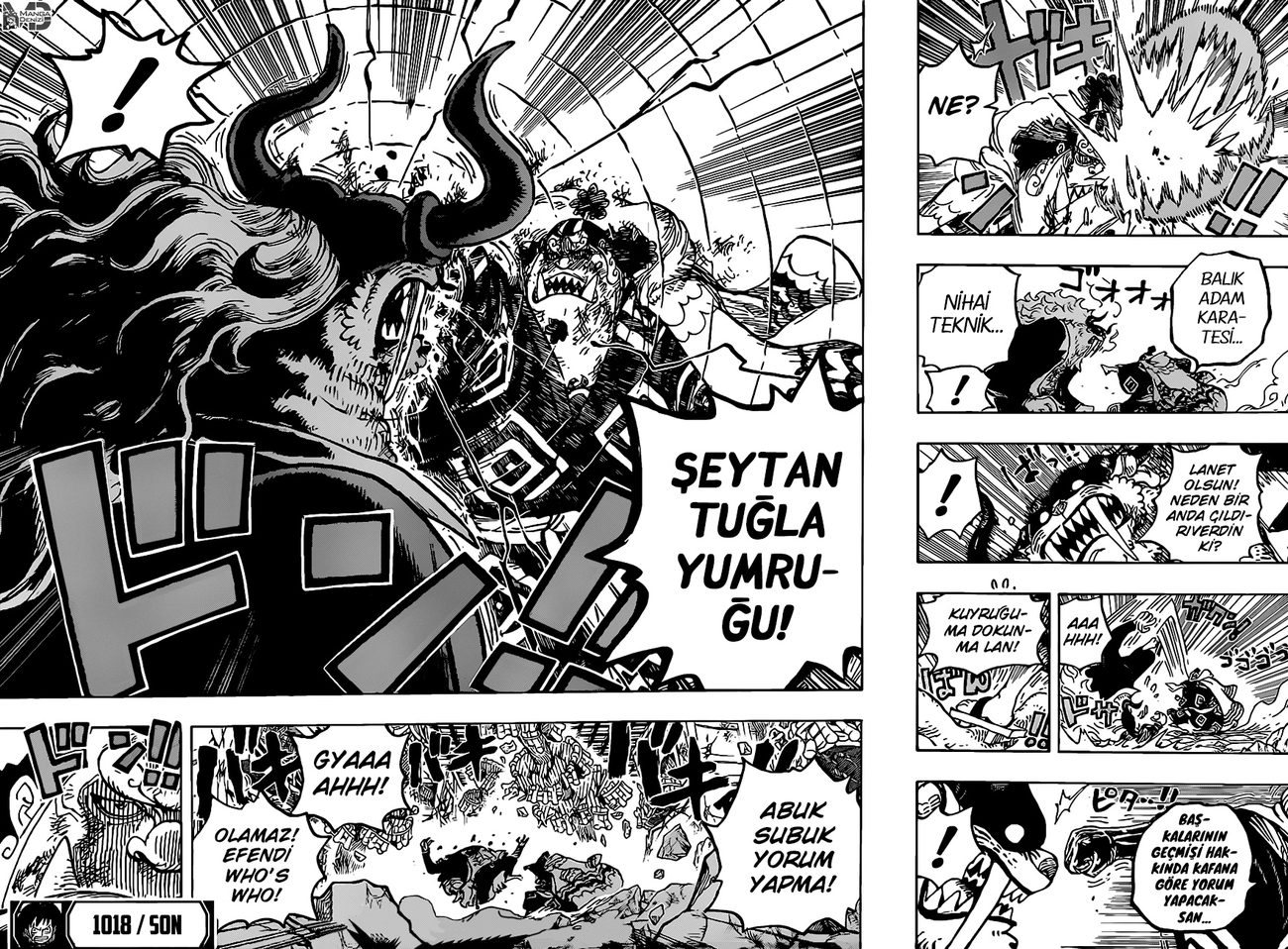 One Piece Bölüm 1018 - Sayfa 16