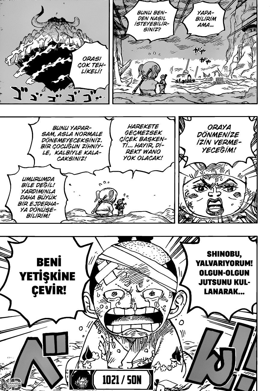 One Piece Bölüm 1021 - Sayfa 16