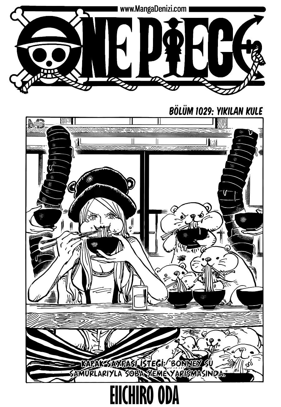 One Piece Bölüm 1029 - Sayfa 1