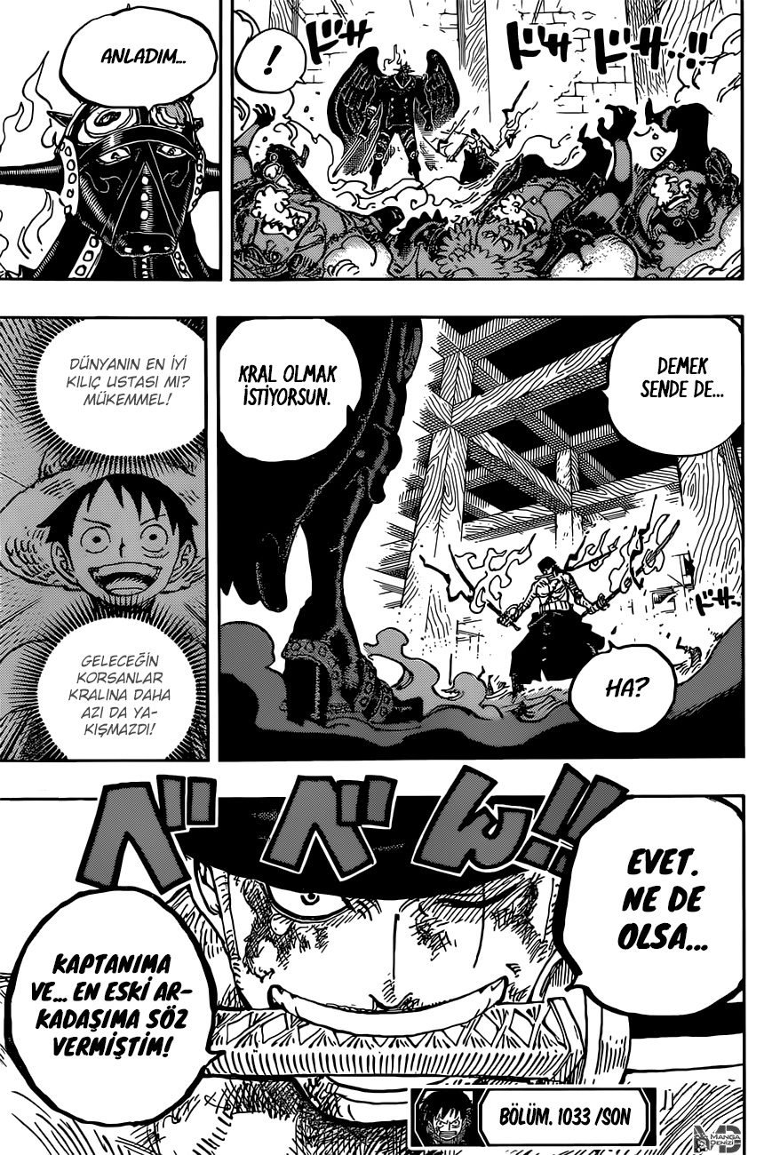 One Piece Bölüm 1033 - Sayfa 17