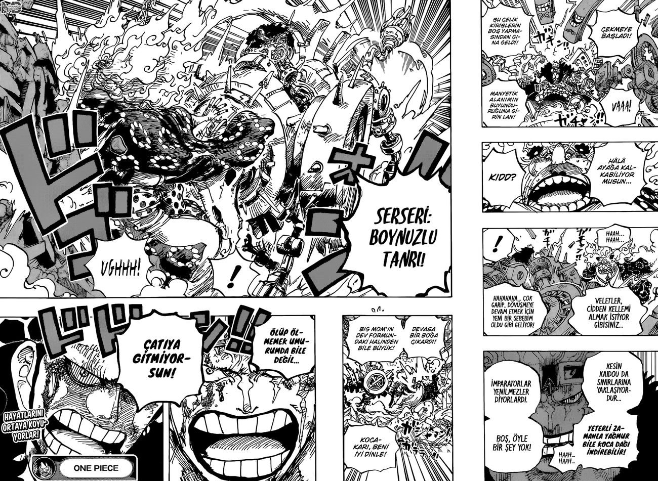 One Piece Bölüm 1038 - Sayfa 14
