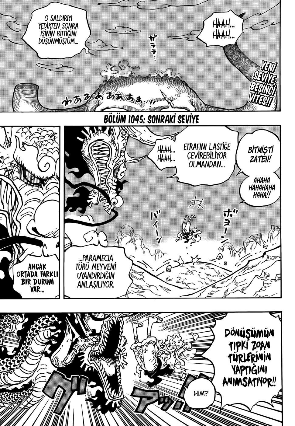 One Piece Bölüm 1045 - Sayfa 3