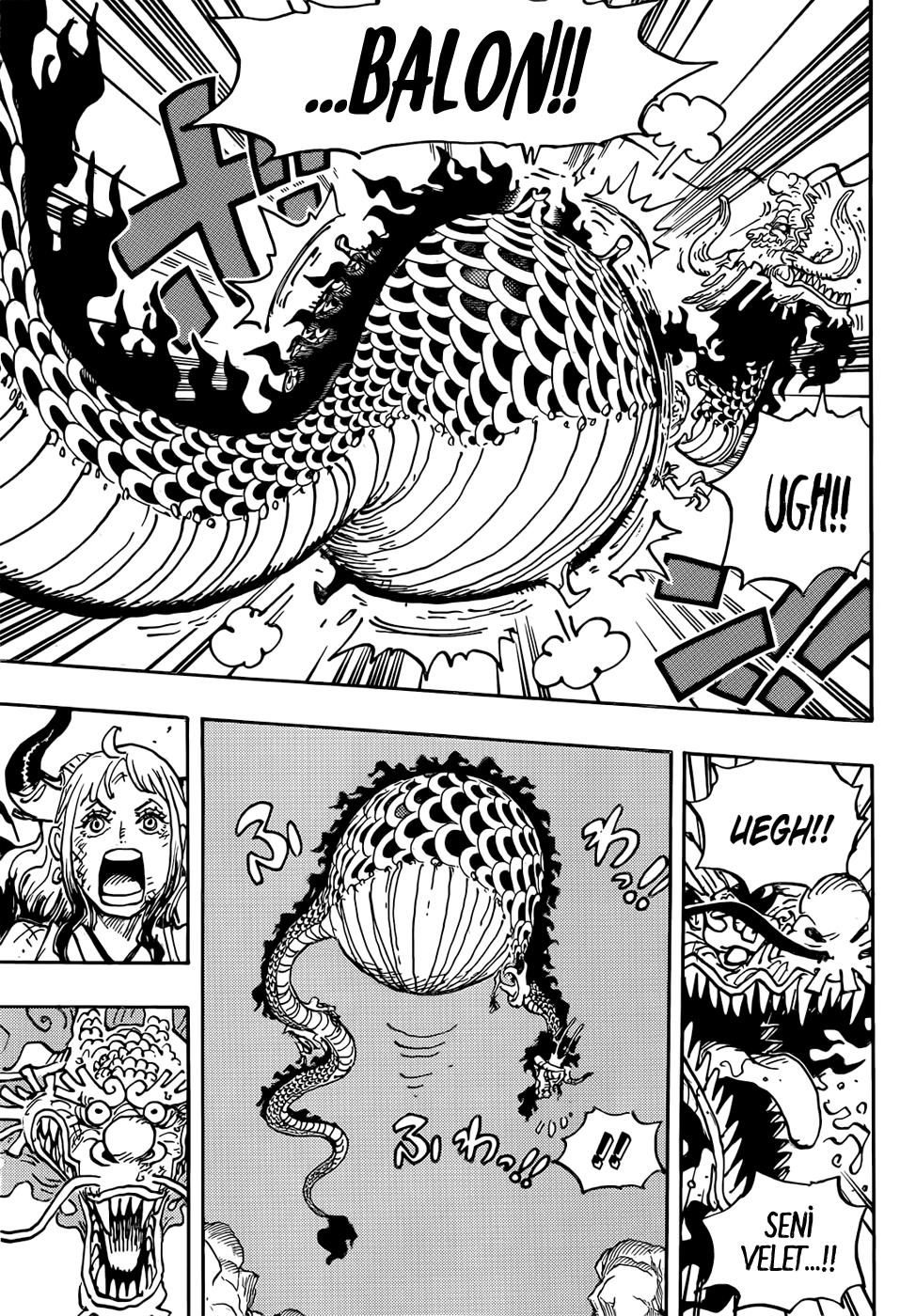 One Piece Bölüm 1045 - Sayfa 5