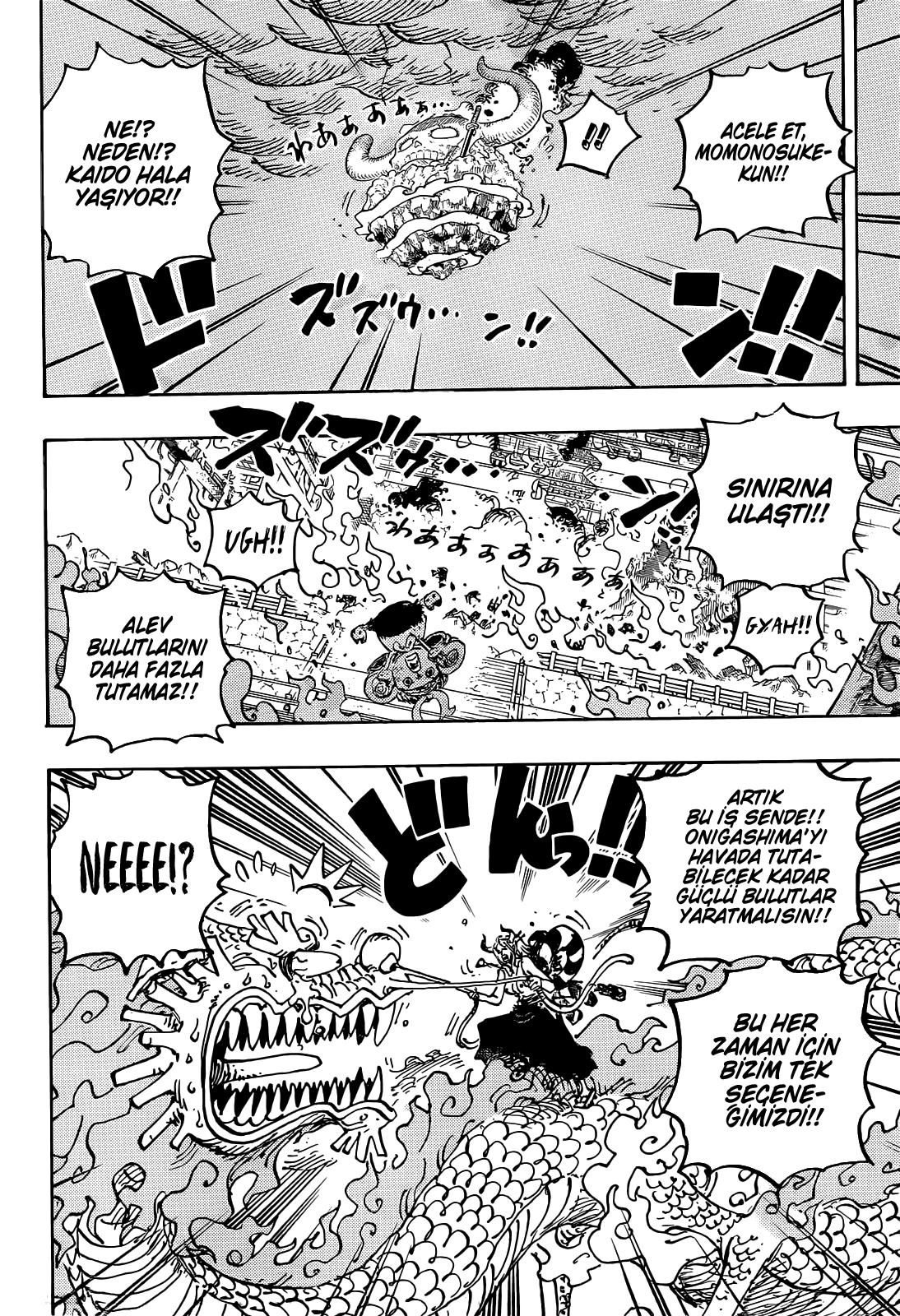 One Piece Bölüm 1046 - Sayfa 14