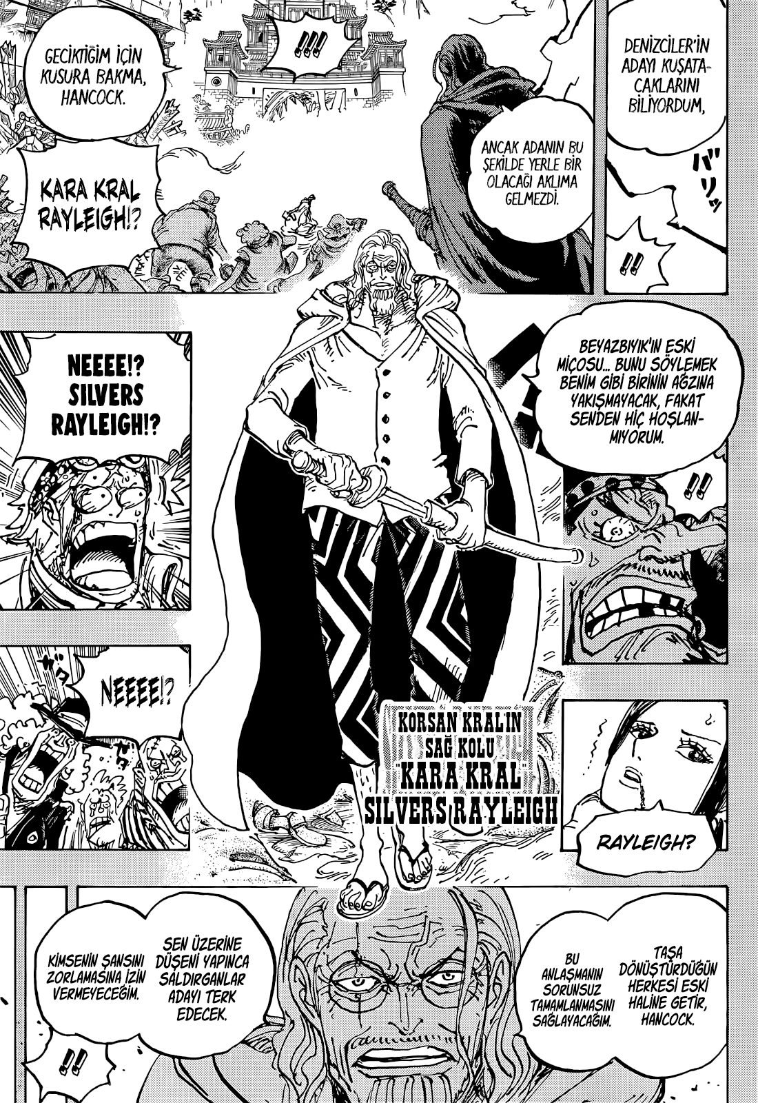 One Piece Bölüm 1059 - Sayfa 13