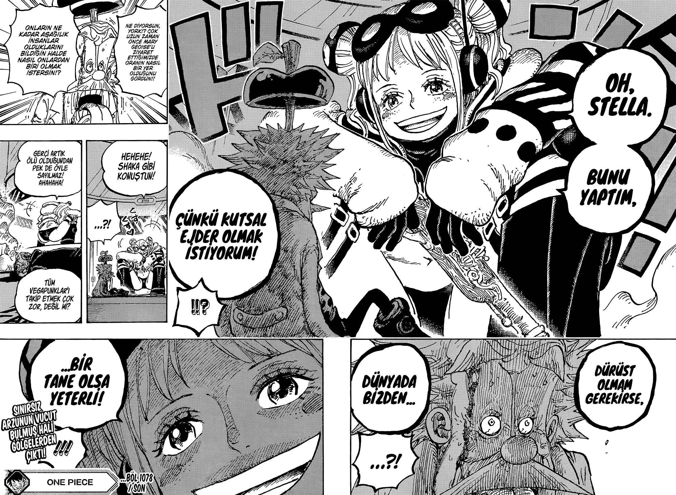 One Piece Bölüm 1078 - Sayfa 14
