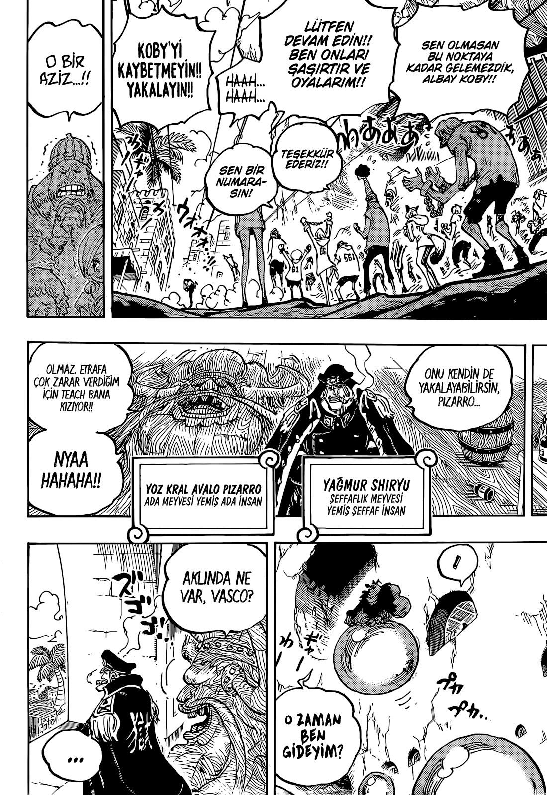 One Piece Bölüm 1080 - Sayfa 4