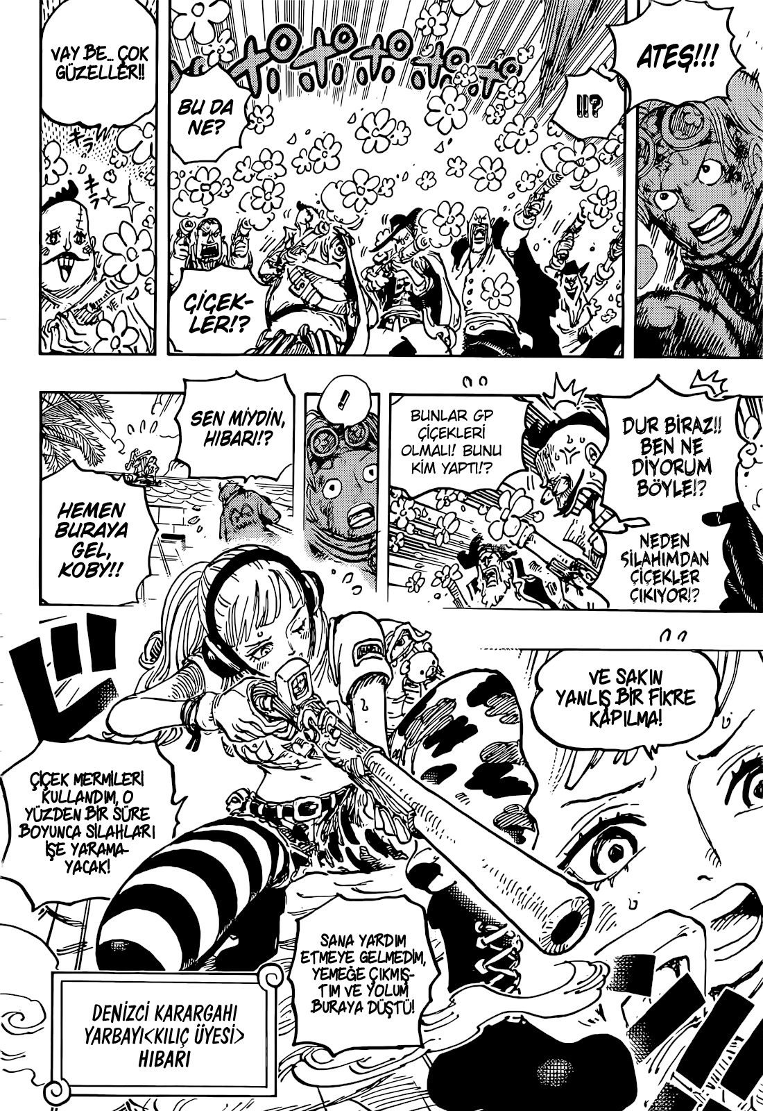 One Piece Bölüm 1080 - Sayfa 12