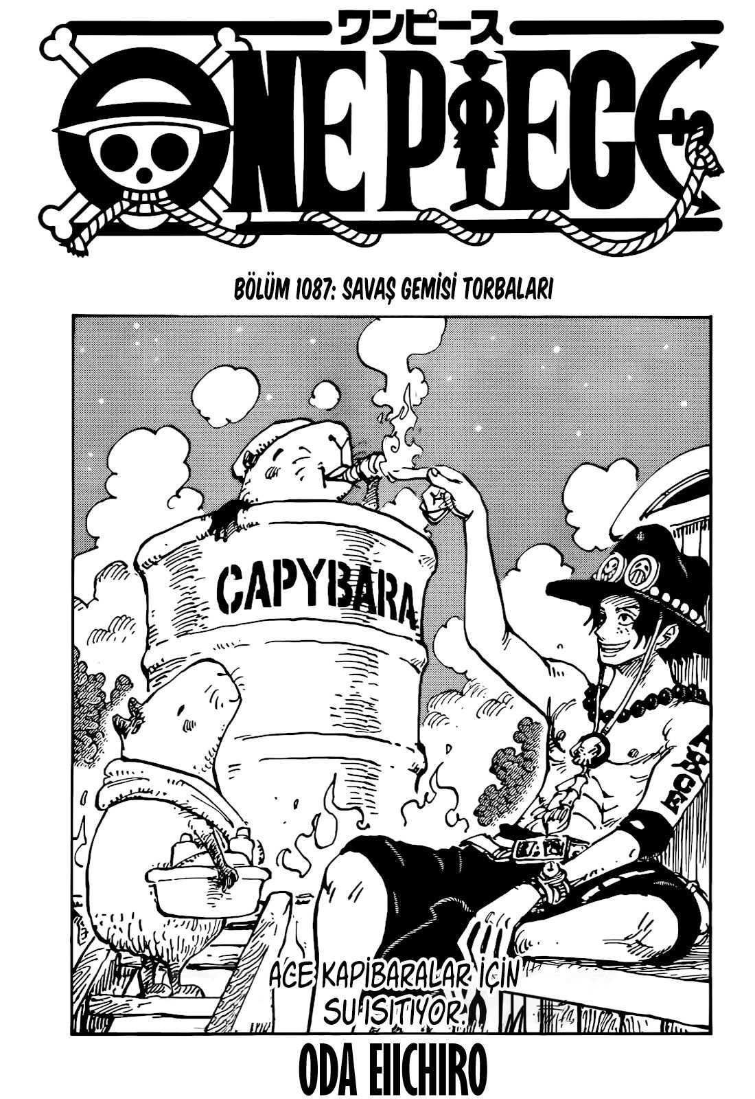 One Piece Bölüm 1087 - Sayfa 1