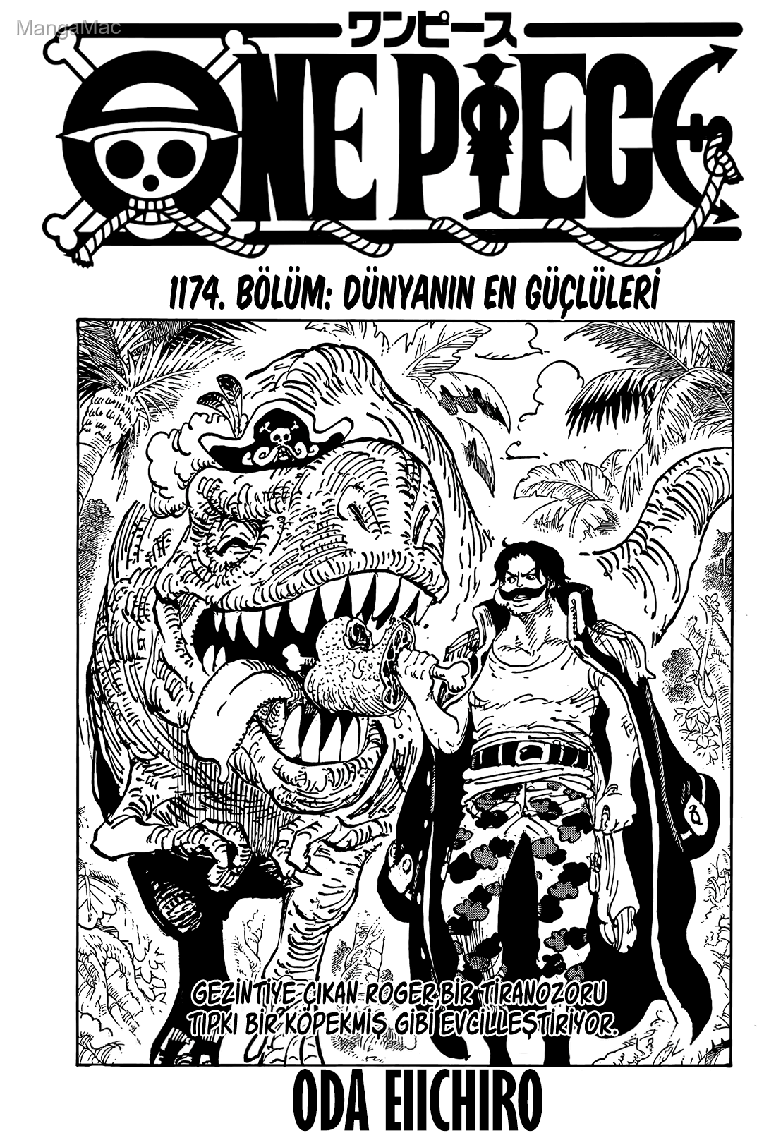 One Piece Bölüm 1174 - Sayfa 1
