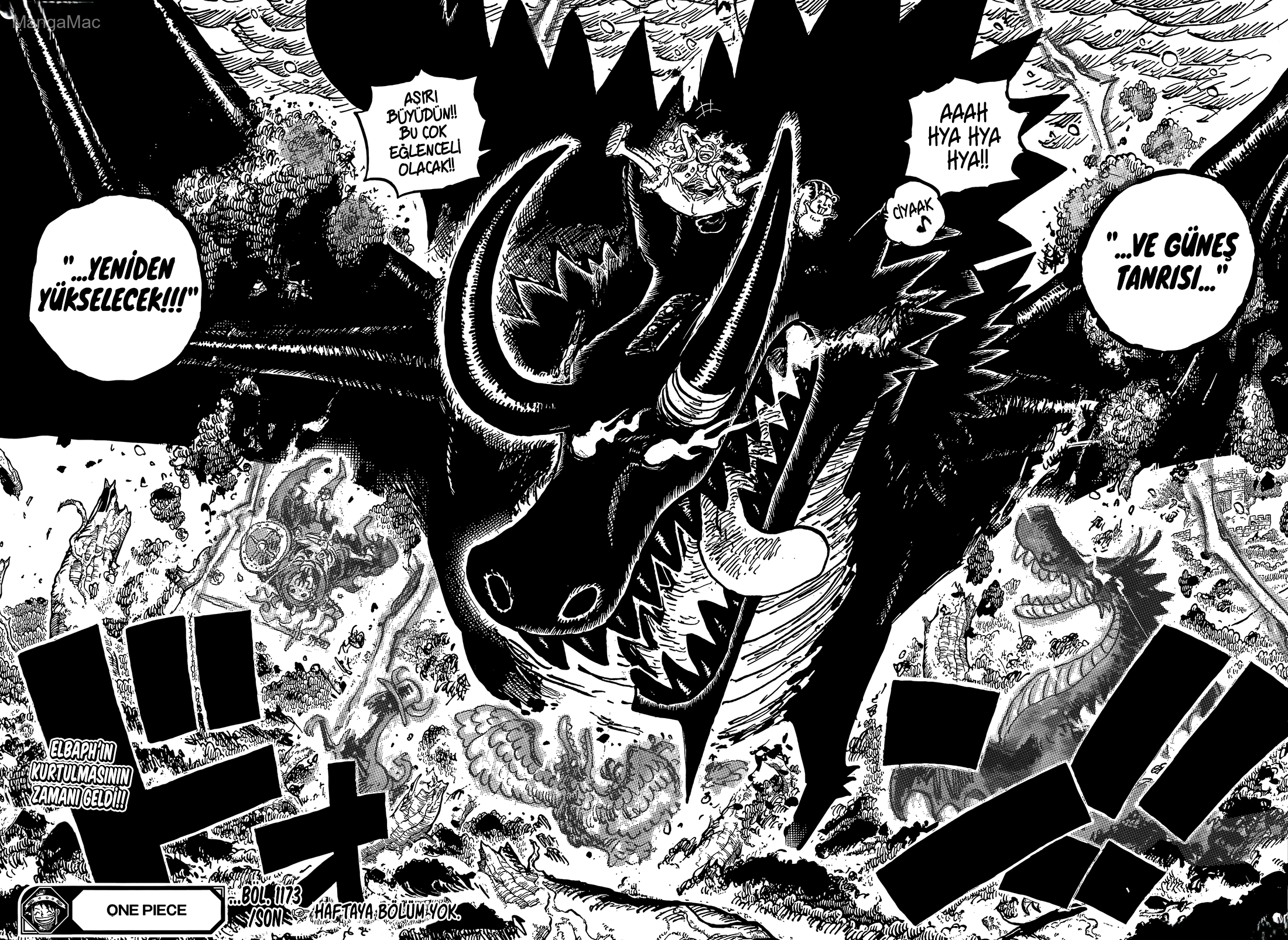 One Piece Bölüm 1174 - Sayfa 15
