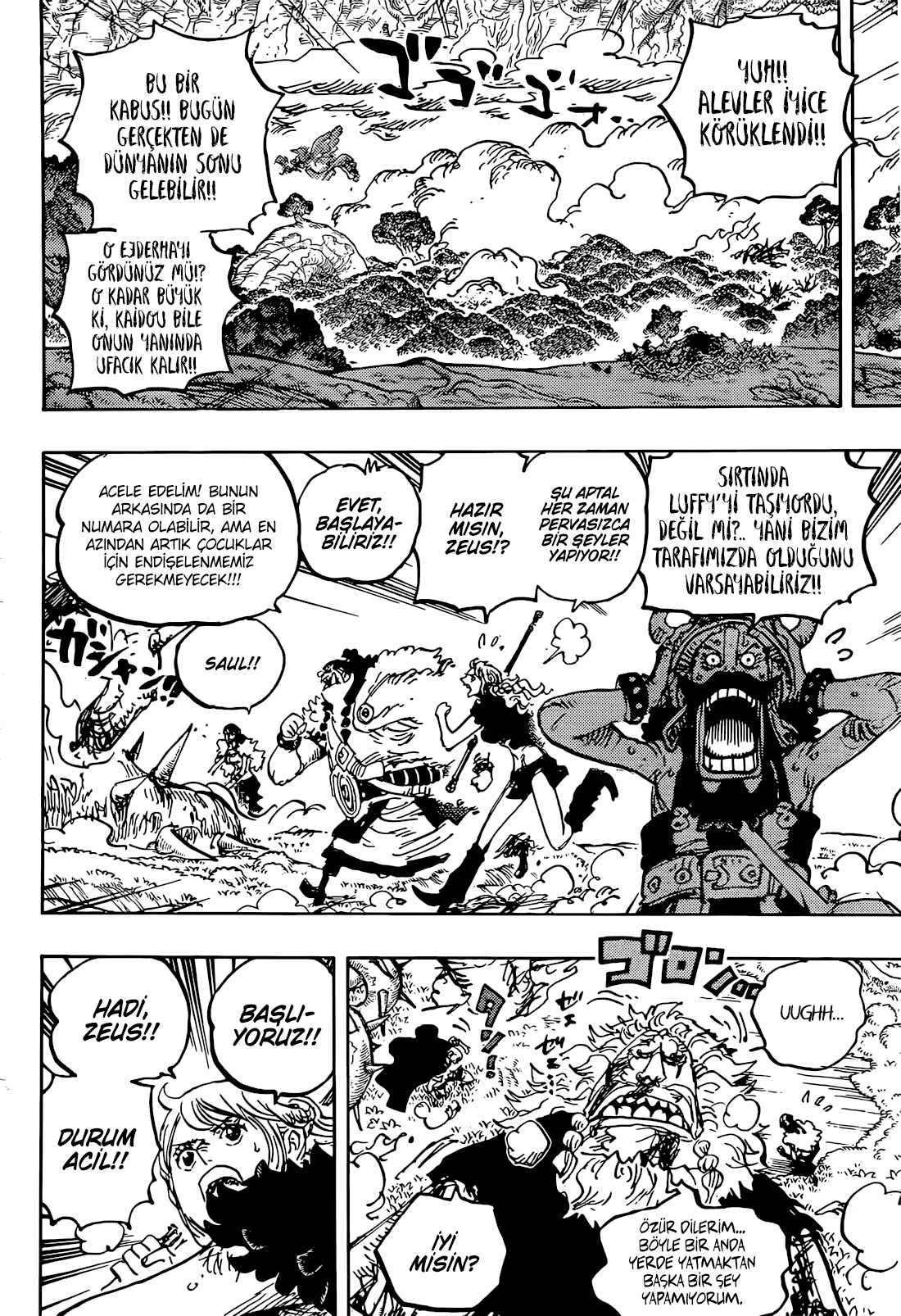 One Piece Bölüm 1176 - Sayfa 4
