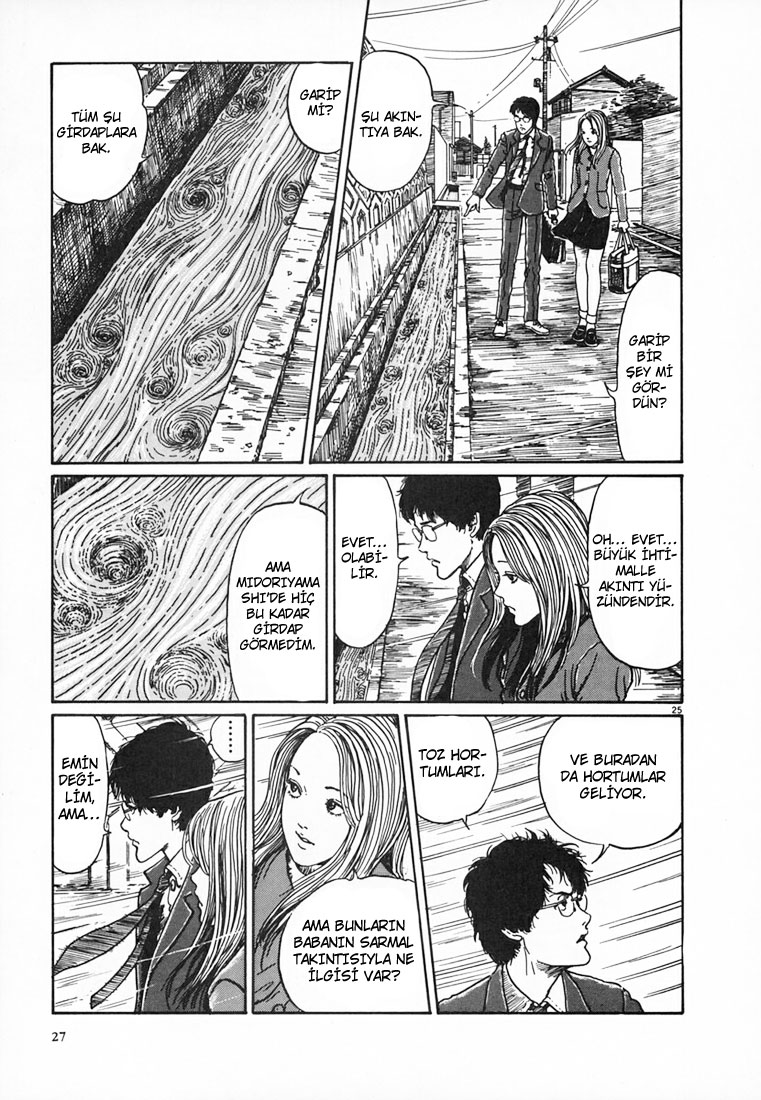 Sayfa 25