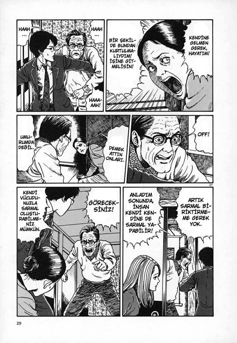 Sayfa 27