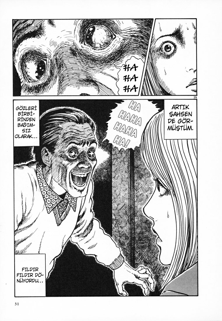 Sayfa 29