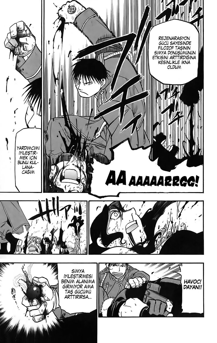 Fullmetal Alchemist Bölüm 38 - Sayfa 48