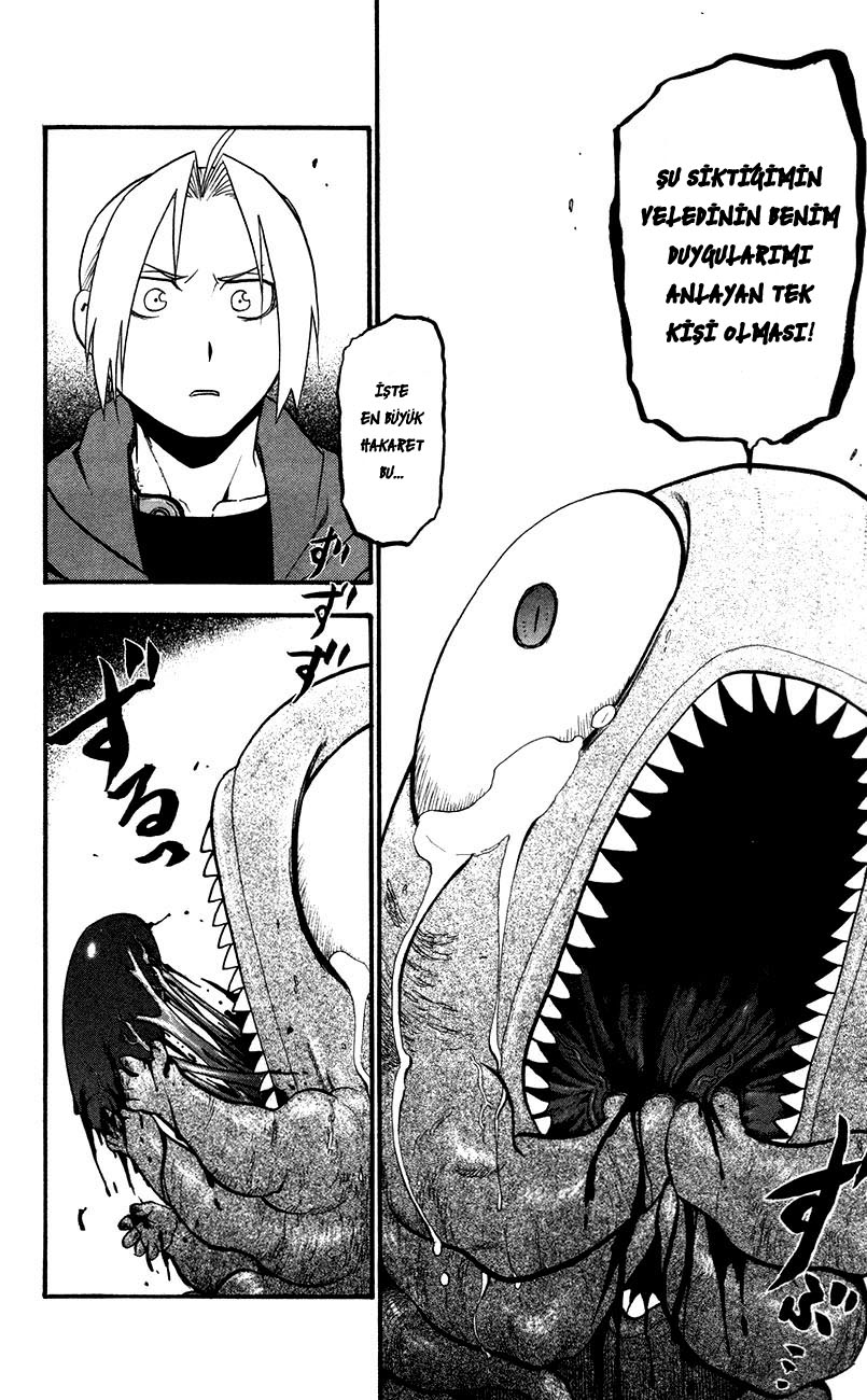 Fullmetal Alchemist Bölüm 95 - Sayfa 21
