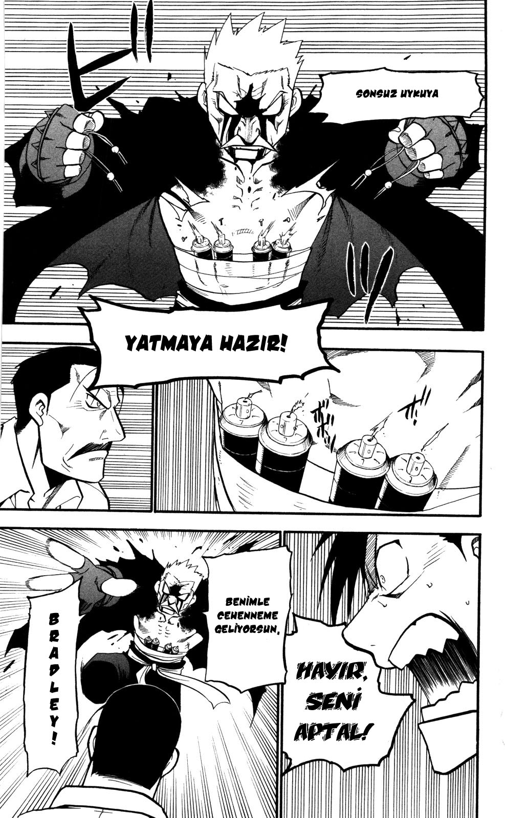 Fullmetal Alchemist Bölüm 99 - Sayfa 17