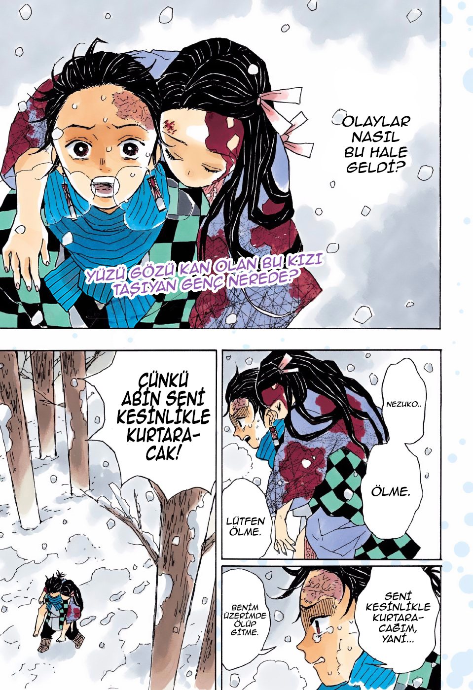 Demon Slayer Bölüm 1 - Sayfa 3