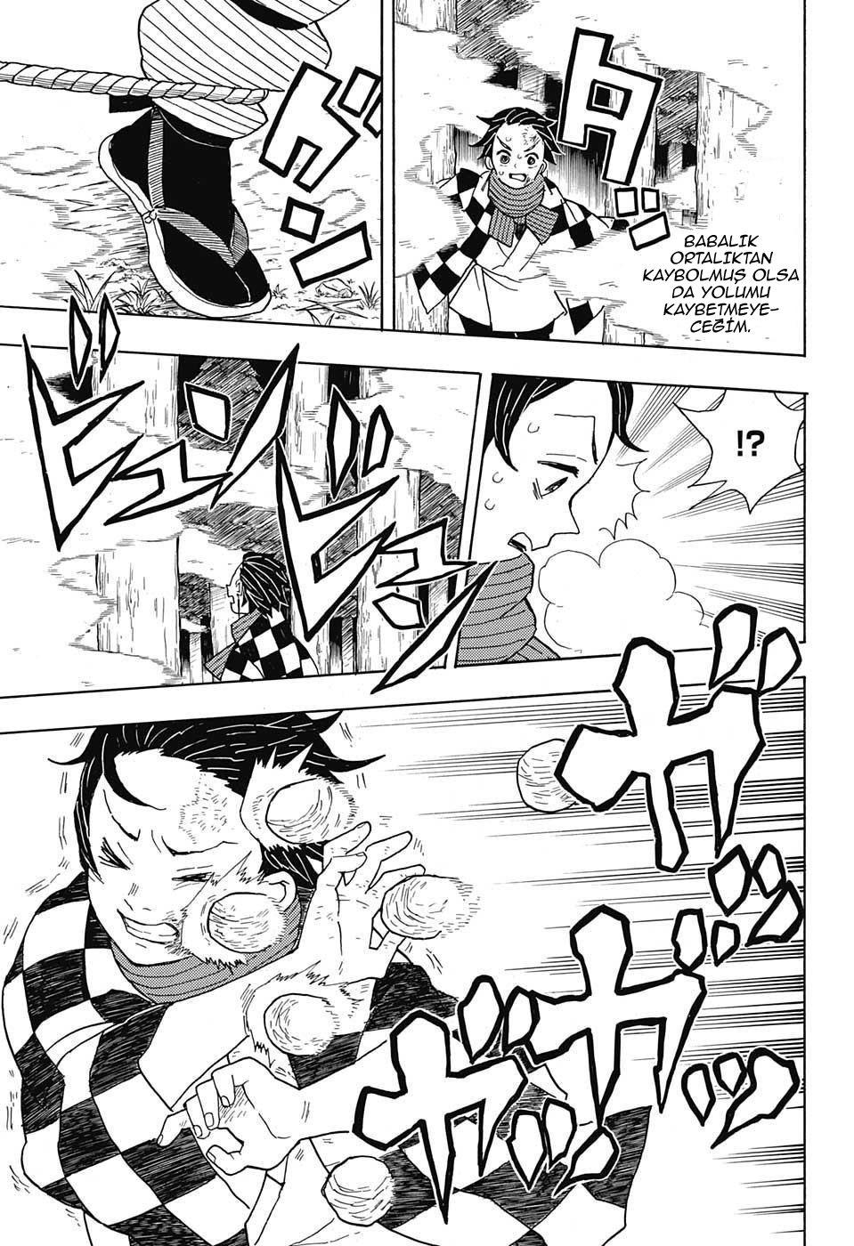 Demon Slayer Bölüm 3 - Sayfa 17