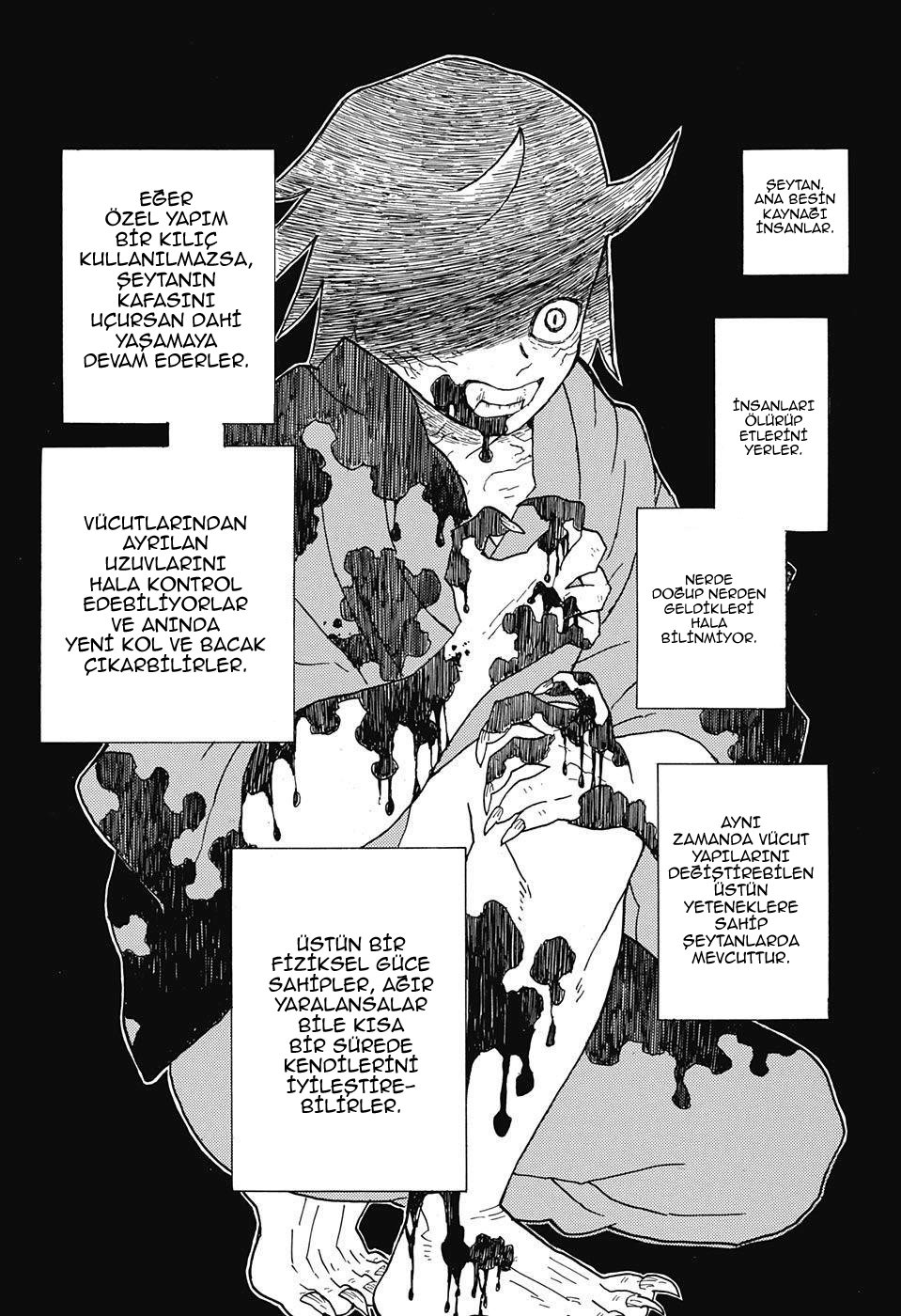 Demon Slayer Bölüm 4 - Sayfa 3