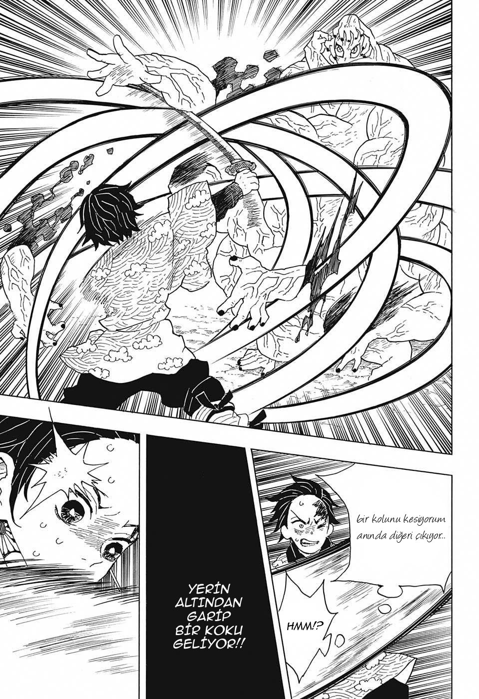 Demon Slayer Bölüm 7 - Sayfa 15