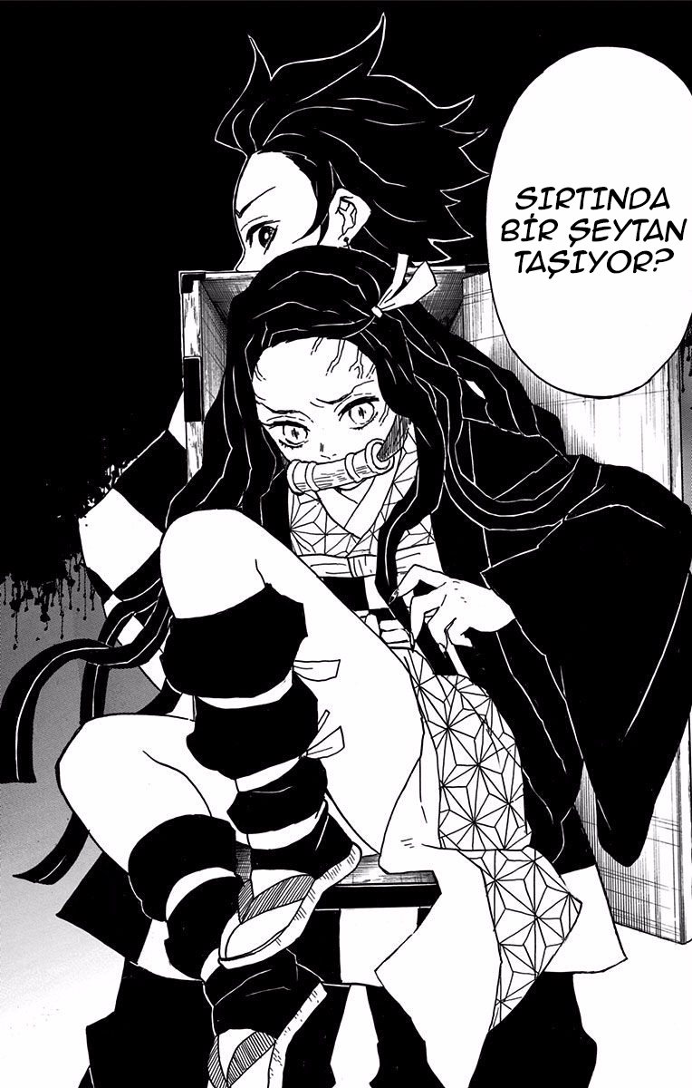 Demon Slayer Bölüm 11 - Sayfa 16