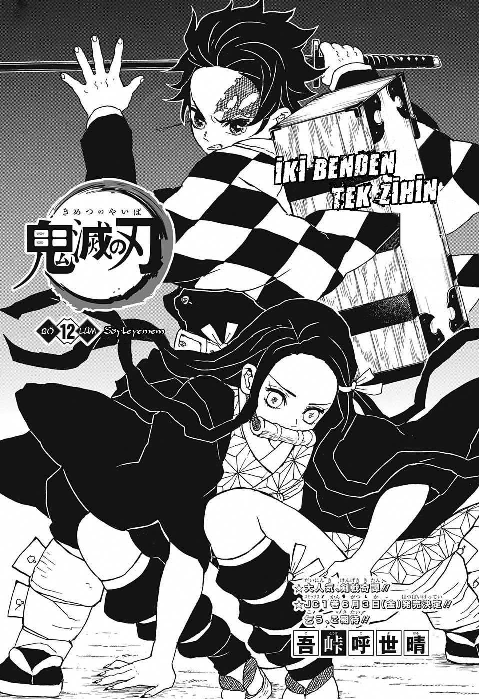 Demon Slayer Bölüm 12 - Sayfa 1