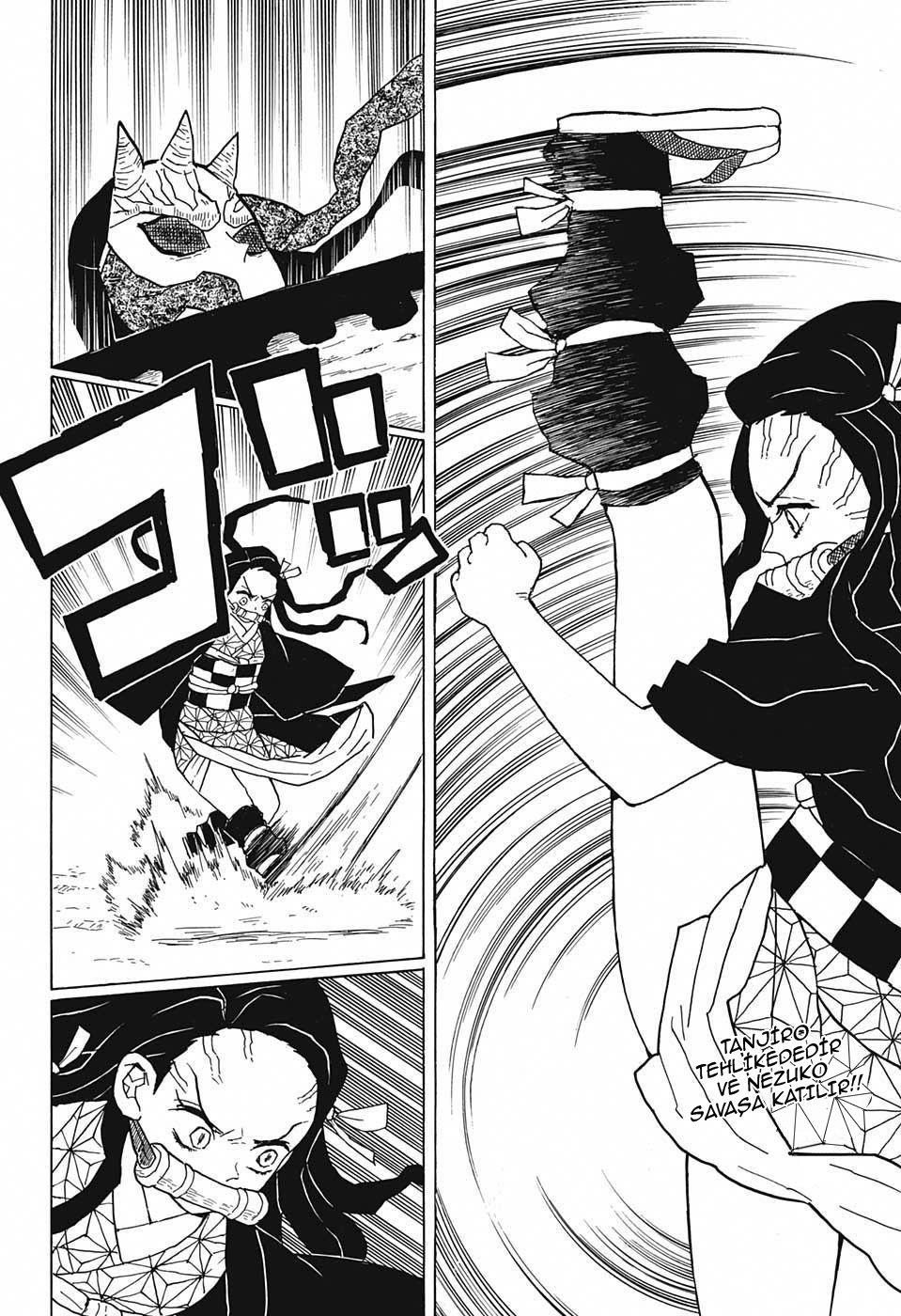 Demon Slayer Bölüm 12 - Sayfa 2