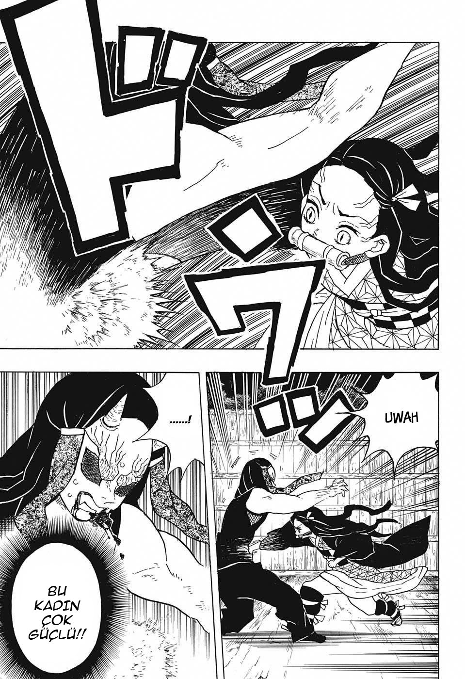 Demon Slayer Bölüm 12 - Sayfa 13