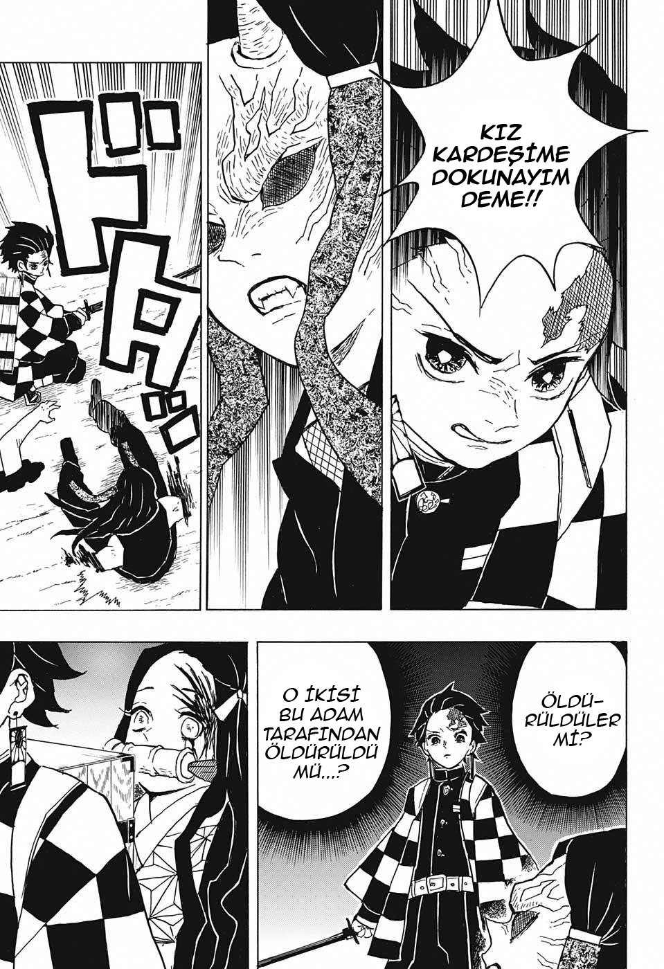 Demon Slayer Bölüm 12 - Sayfa 17