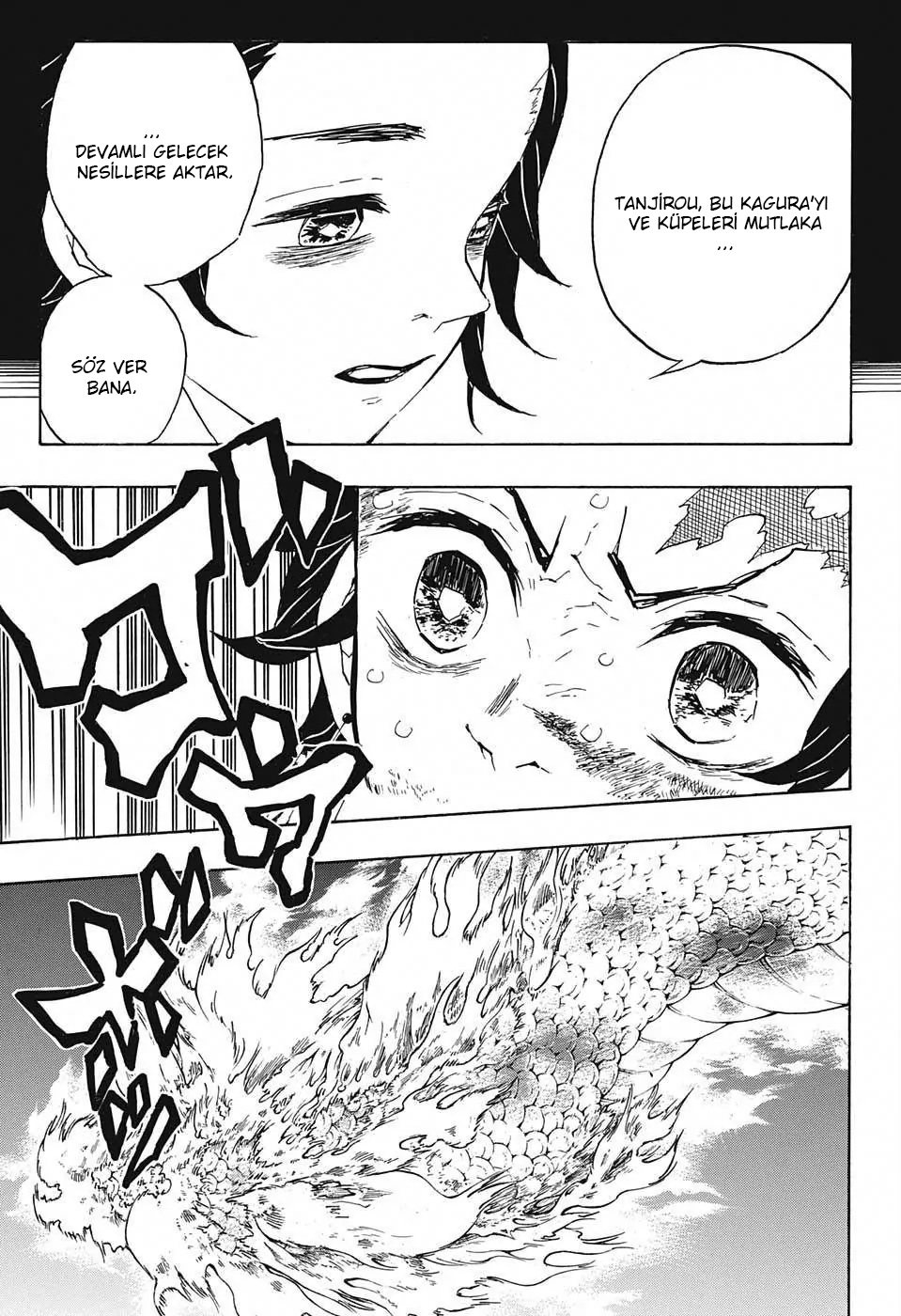 Demon Slayer Bölüm 40 - Sayfa 5