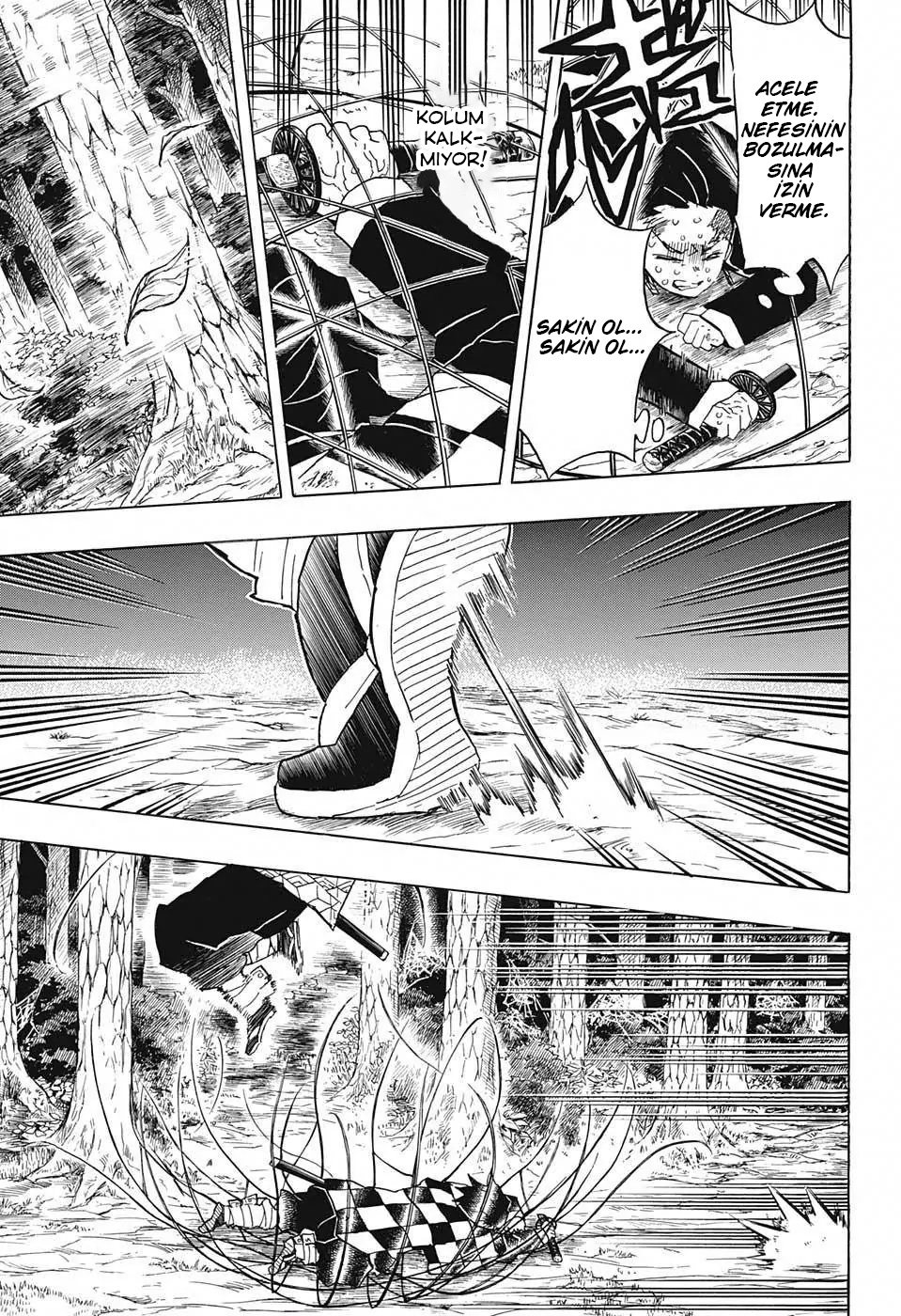 Demon Slayer Bölüm 42 - Sayfa 11