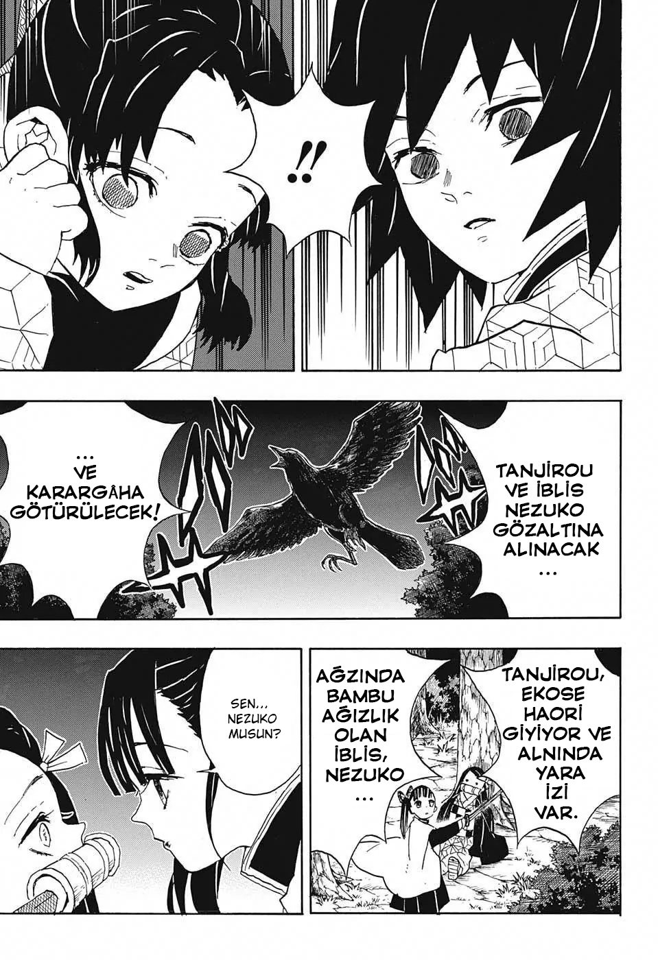 Demon Slayer Bölüm 44 - Sayfa 19