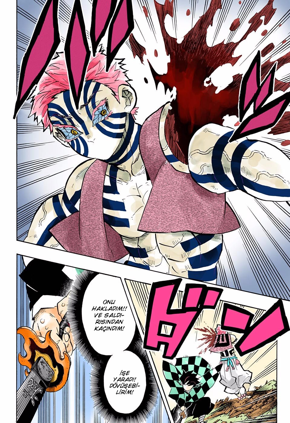 Demon Slayer Bölüm 147 - Sayfa 13