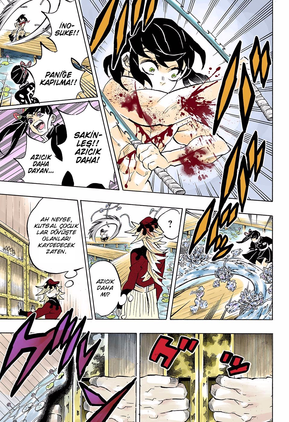 Demon Slayer Bölüm 161 - Sayfa 17